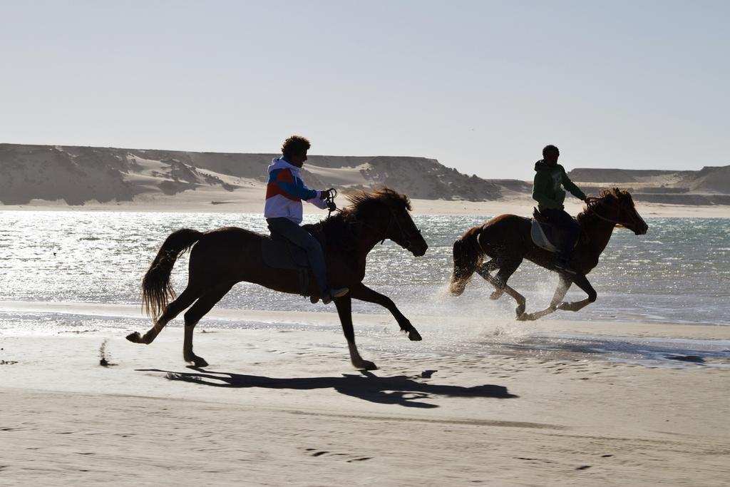 فندق Dakhla Evasion المظهر الخارجي الصورة